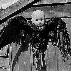 Crow and a Baby