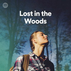 Lost In The Woods