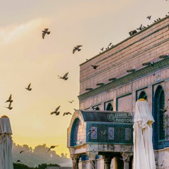 على العز سرنا