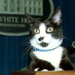 Mix Levels in Stages (STBB 664)