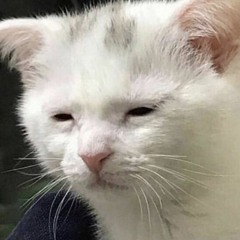Fuck detz helez. Køb etz nytz bord