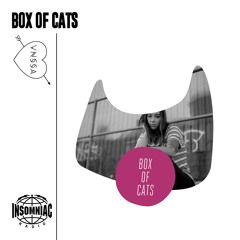 Box Of Cats Radio - Episode 10 Feat. VNSSA