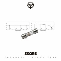 SKORE - BLOWN FUSE