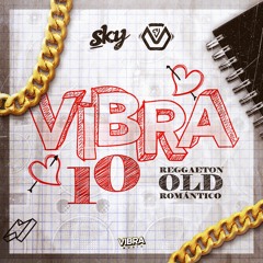 Dj Sky feat. Dj V - Vibra #010 (Reggaeton Feeling)