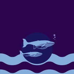 Purple Whale