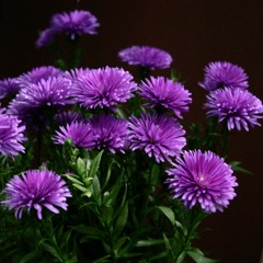 När Livet Blir För Mycket