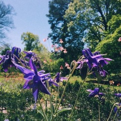 Retrograde // Maggie Rogers