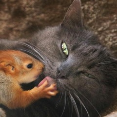 Kerlin Richter, Sermon 11 -17 -19, the end of the world