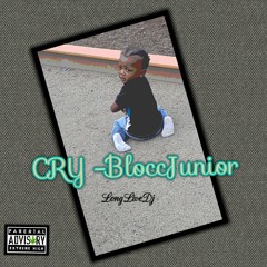 BLOCCJUNIOR-CRY