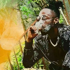 Fi Di Jockey x Dumplin' x Loyal Mashup by DJ SHAKES