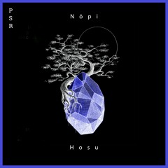 Nōpi - Hosu (Erdi Irmak Remix)