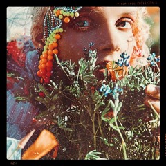 La Granja Ibiza: Sassafrass Y Canela