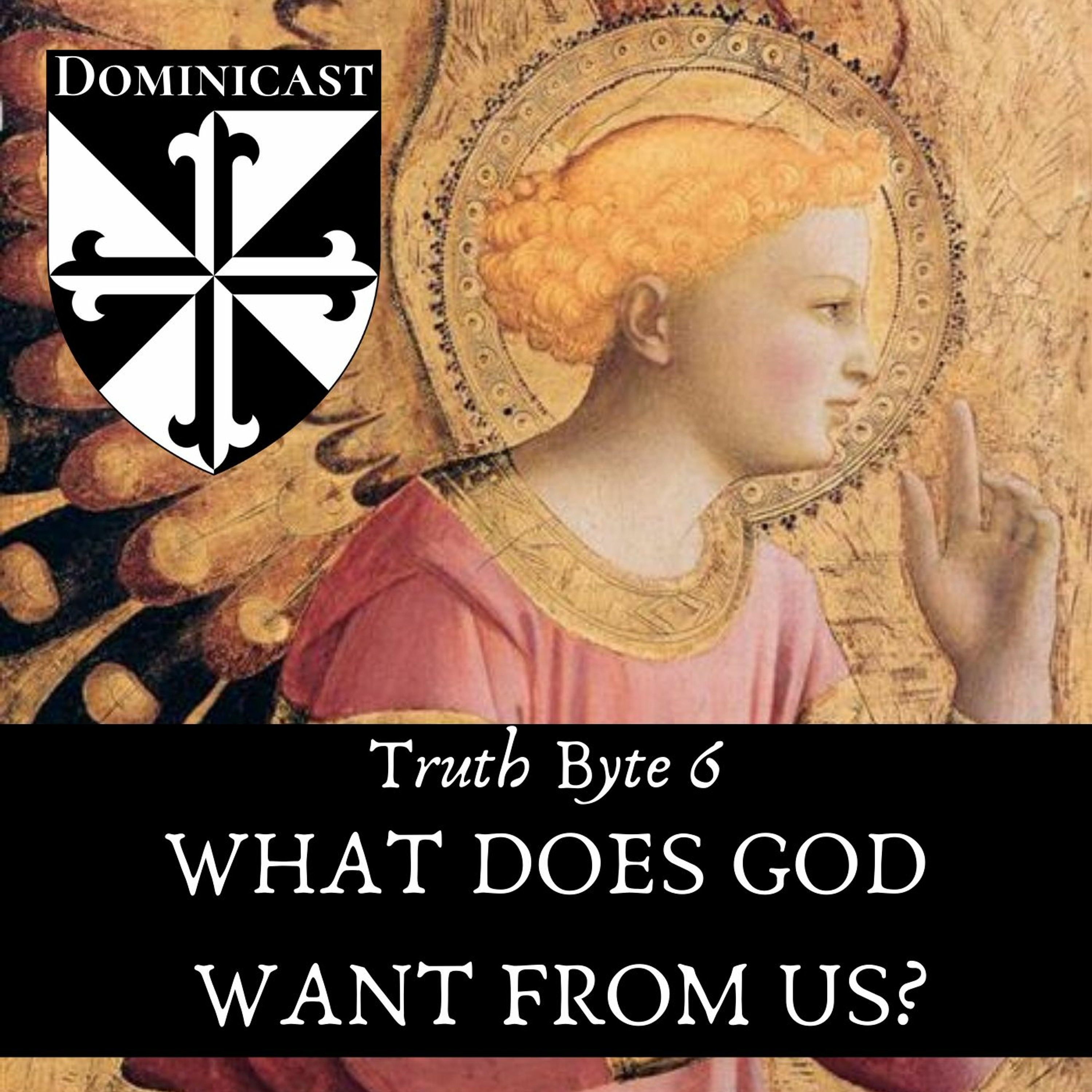 What Does God Want For Us? - Truth Byte 6