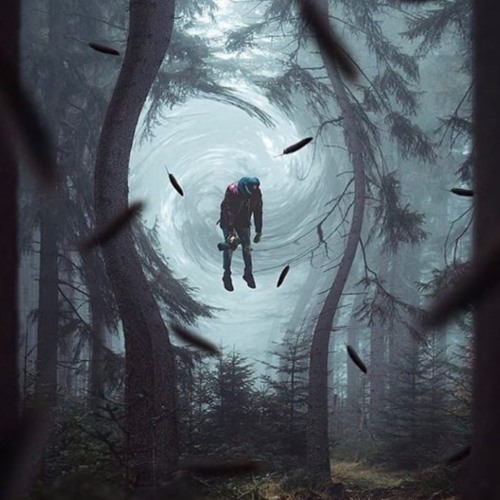 Human - 24 & Auraka - The Birch [READ THE DESCRIPTION]
