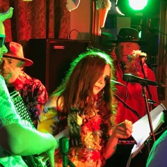 Fairytale In New York at Christmas Black Horse