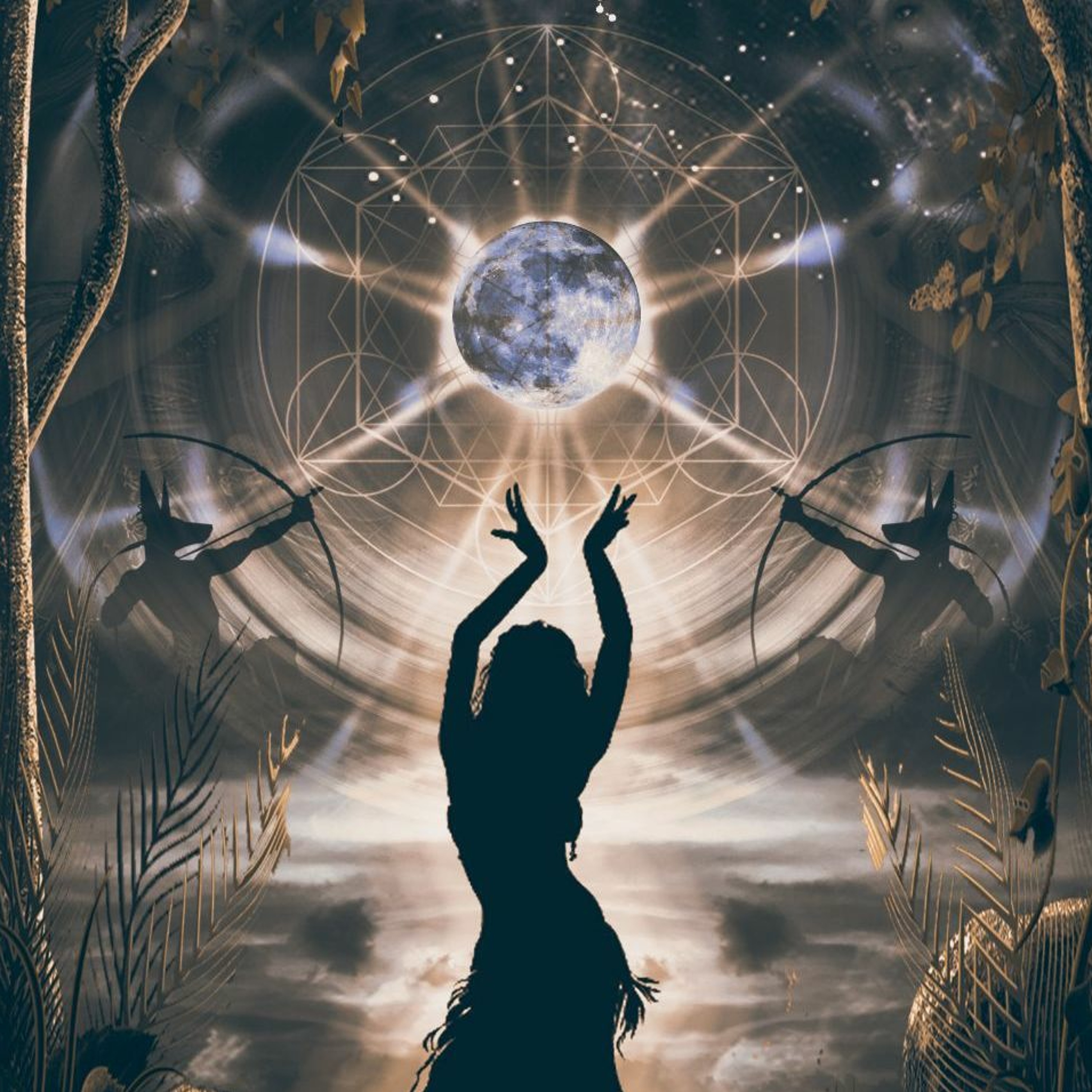 Dimensional Shift