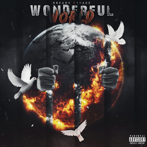 Dready $avage - Wonderful World