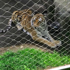 CCB A x CCB DEE x RIGHT BY ME