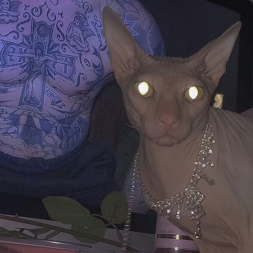 Stream Cradles lambert (Tik Tok) by Hà Minh Minh Listen online for free on SoundCloud