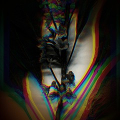 ℂ𝕣𝕪𝕚𝕟𝕘 𝕆𝕧𝕖𝕣 𝔽𝕒𝕝𝕝 𝔽𝕝𝕠𝕨𝕖𝕣𝕤 (prod. ManneQuin Creedence)