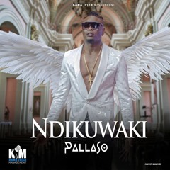 Ndikuwaki by Pallaso