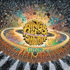 Rings Of Saturn - The Husk