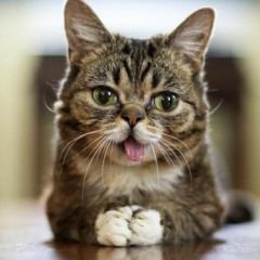 Tribily - Sııwe23™ [KoprodRecord]