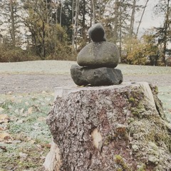 Late Autumn Part 4: Turn, Turn, Turn