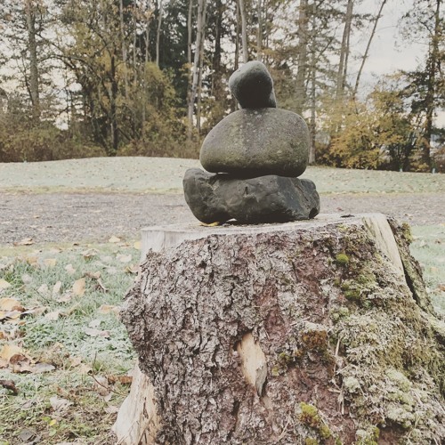 Late Autumn Part 4: Turn, Turn, Turn