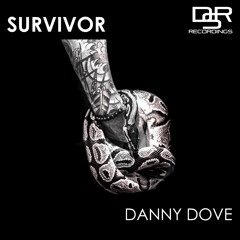 Danny Dove Ft. Anni - Survivor