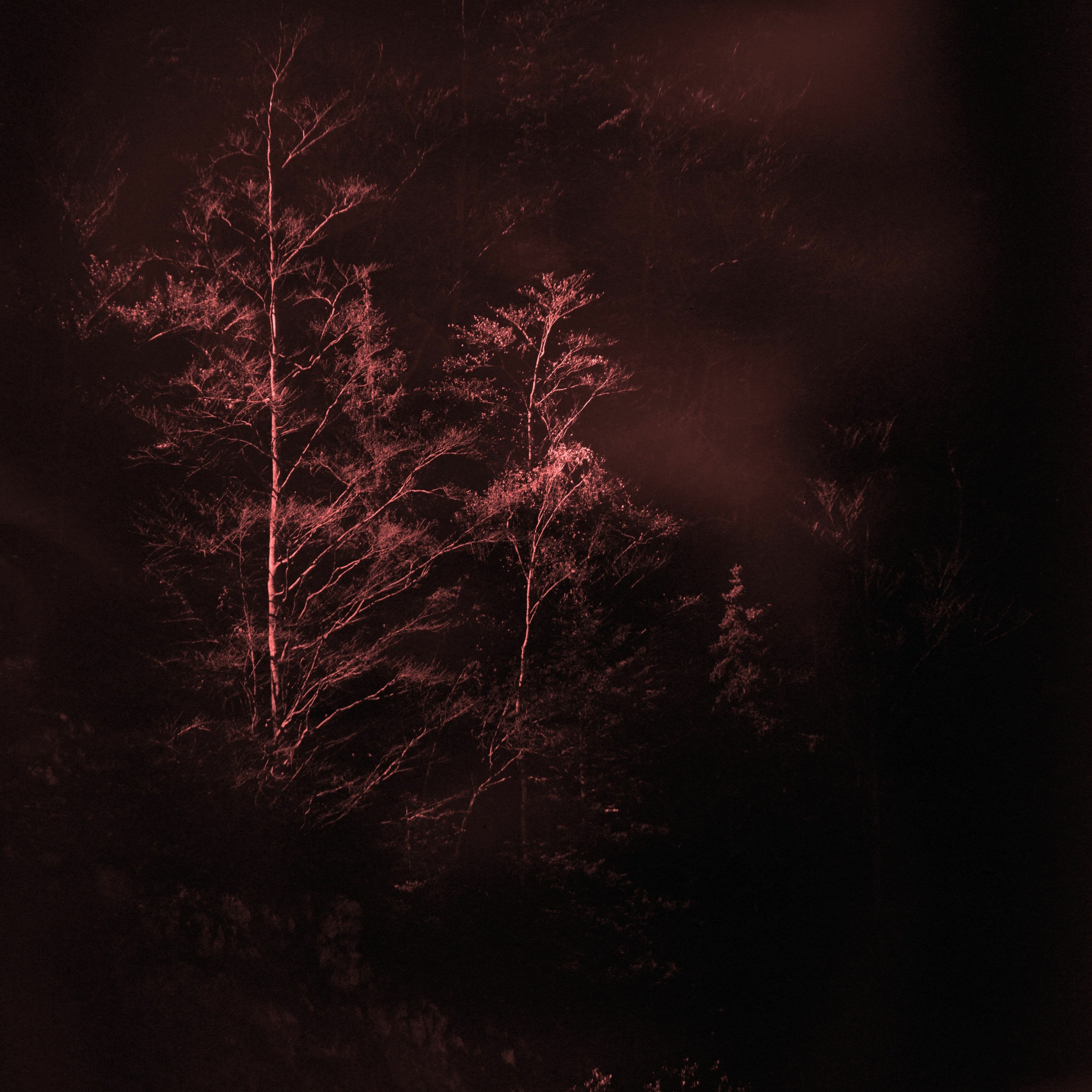 Vlimmer - Umnachtung episode artwork