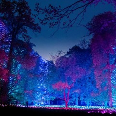 Christmas at Kew - Waterfall