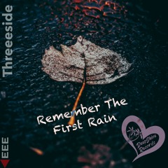 Threeeside - Remember The First Rain