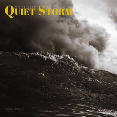 Quiet Storm - Metro Vice | Free Background Music | Audio Library Release