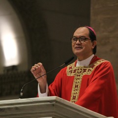 Bishop Pablo Virgilio David's homily during Red Wednesday 2019