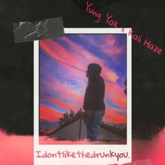 idontlikethedrunkyou. (Feat. Kali Hze)