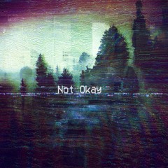 Not Okay (feat. Lil Vinny)