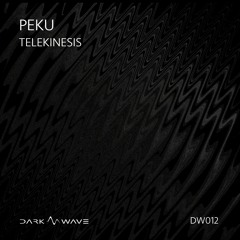 Peku - Spacecall (Original Mix) [Dark Wave]