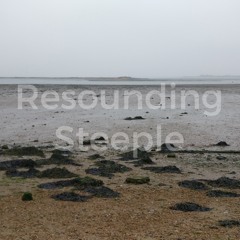 Resounding - Field recordings around the River Blackwater, Essex