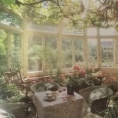 pretty boys like flowers