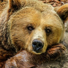Mr Nutz Les Pieds Sur Terre Et La Tête Dans Les Étoiles