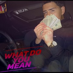 What Do You Mean