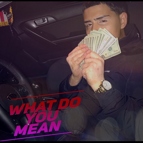 What Do You Mean