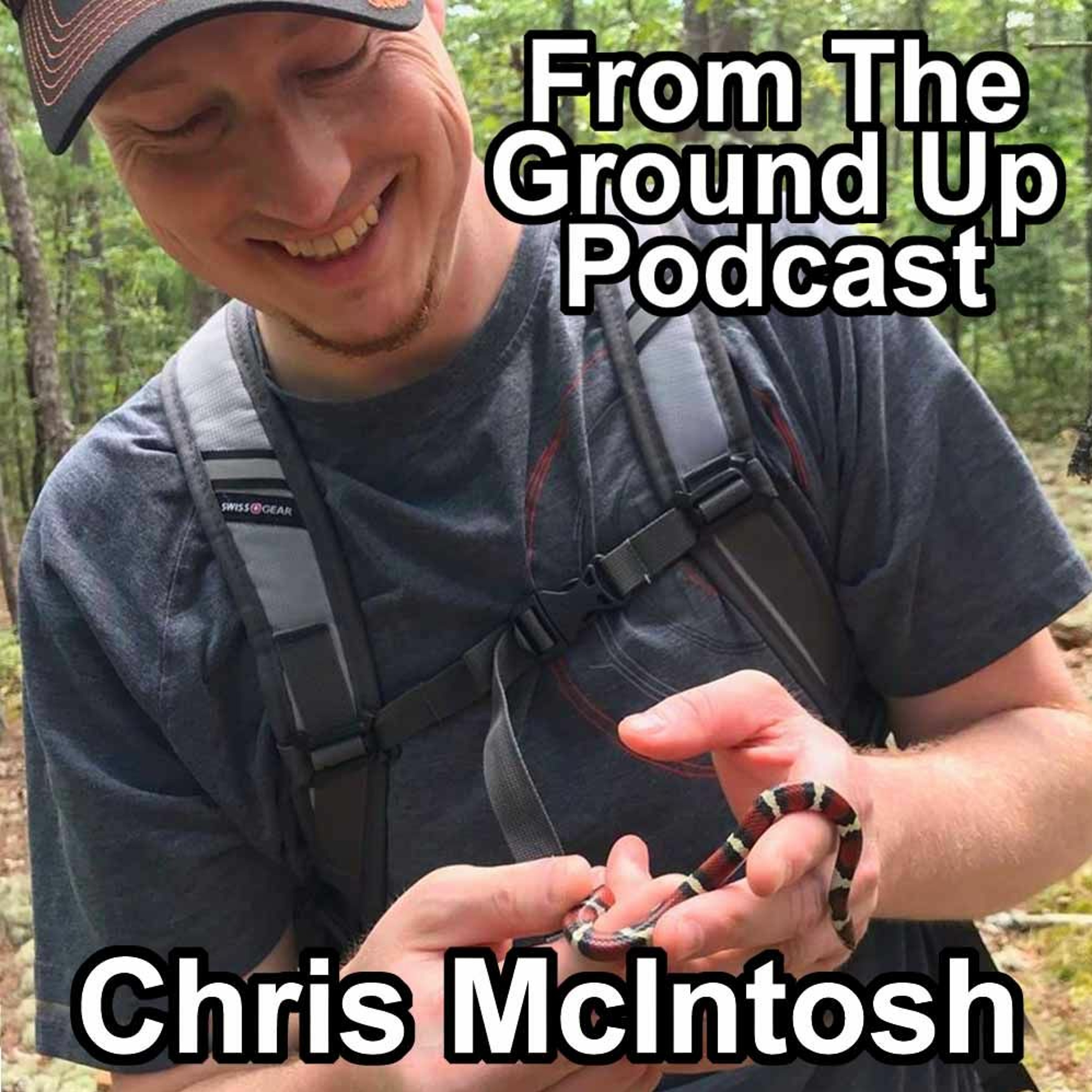 Modern Medusa Reptile Podcast - Where we talk everything cold-blooded (Snake Podcast)