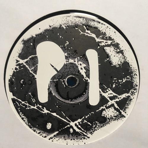PLATTE 011- Hot City Orchestra incl. C.Rau Version Preview