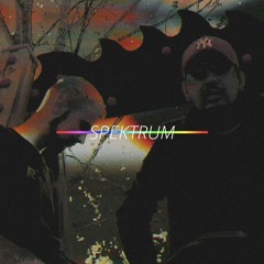 SPEKTRUM ft. Niko (prod. VI3E)