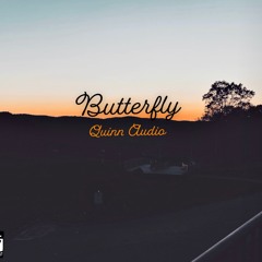 11/27 (Butterfly)