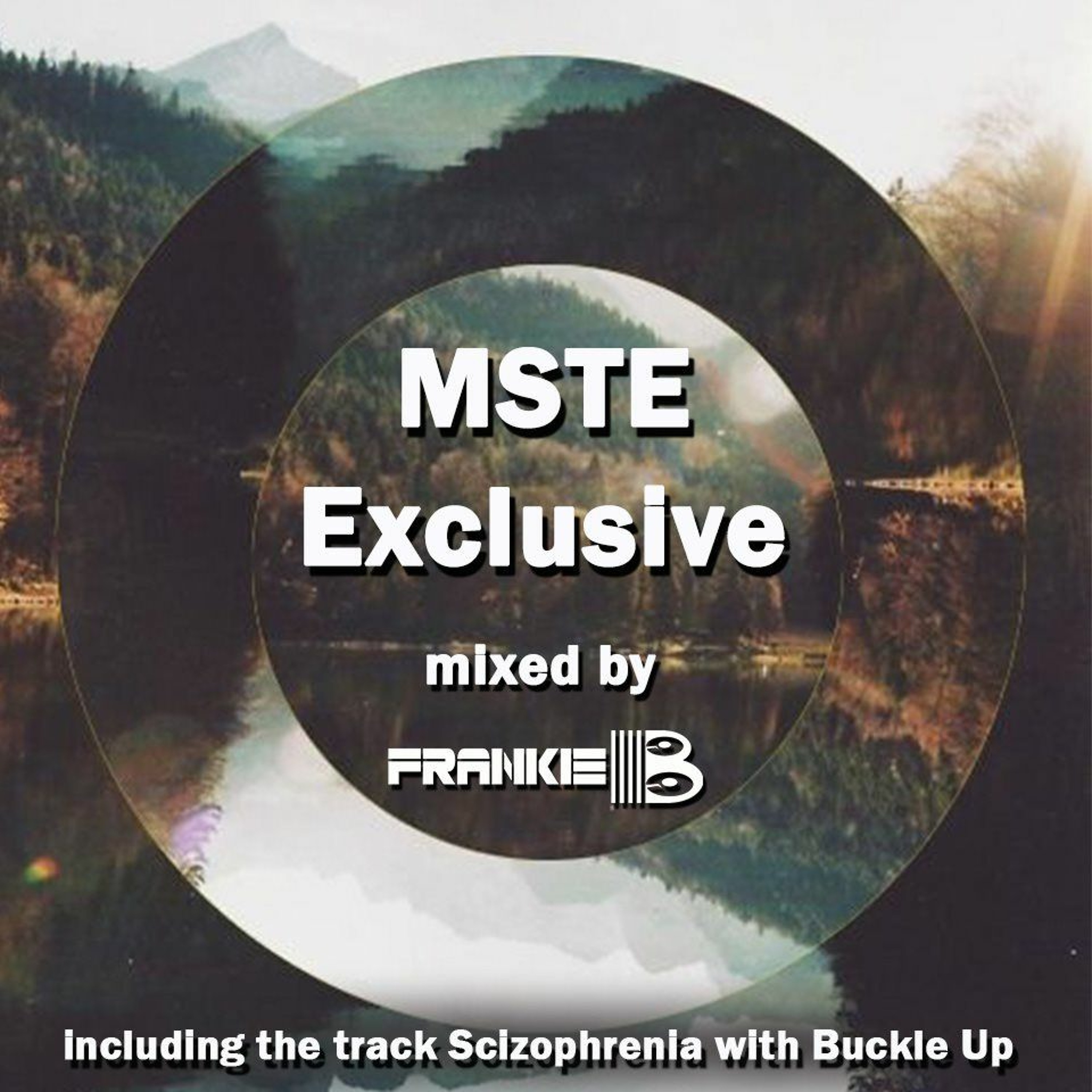 MSTE