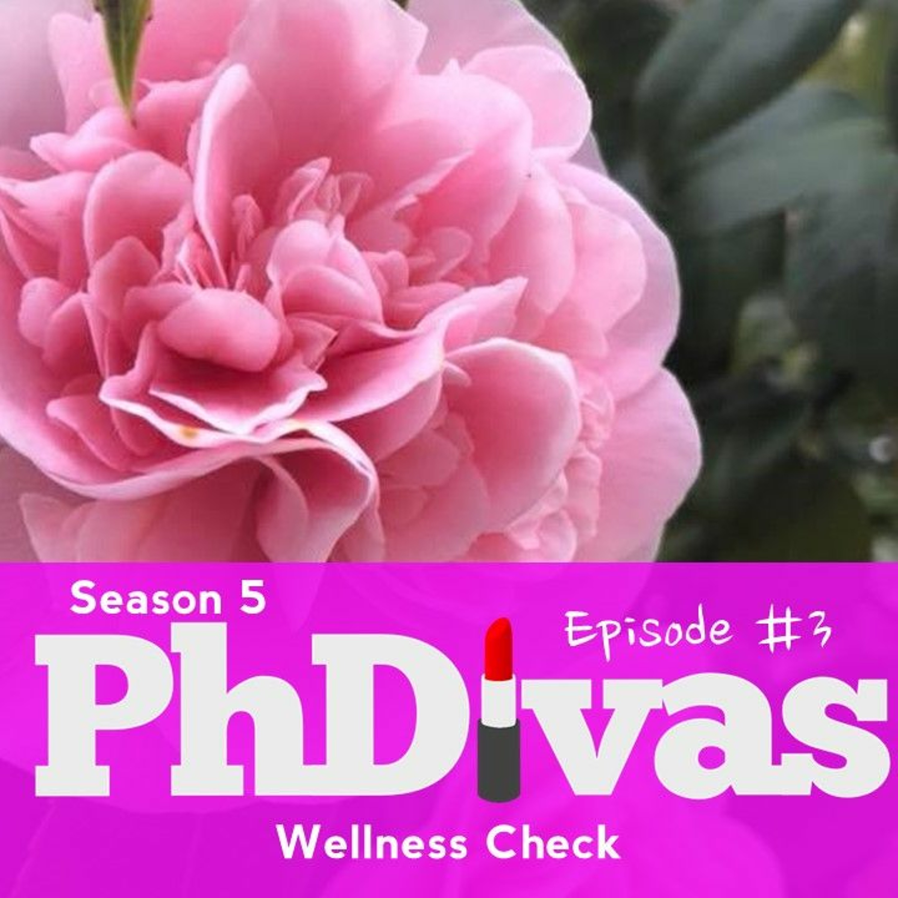 PhDivas