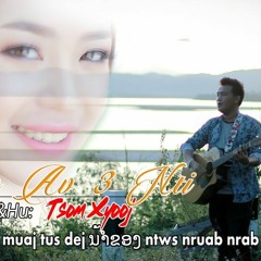 Tsom Xyooj - Daim Av 3 Nti